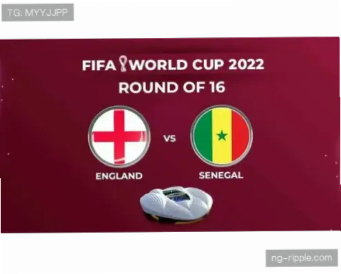 塞内加尔如何备战2026世界杯？非洲预选赛势头强劲